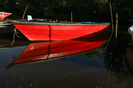 Red Skiff, Caroni Swamp